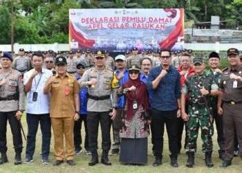 Pemilu damai