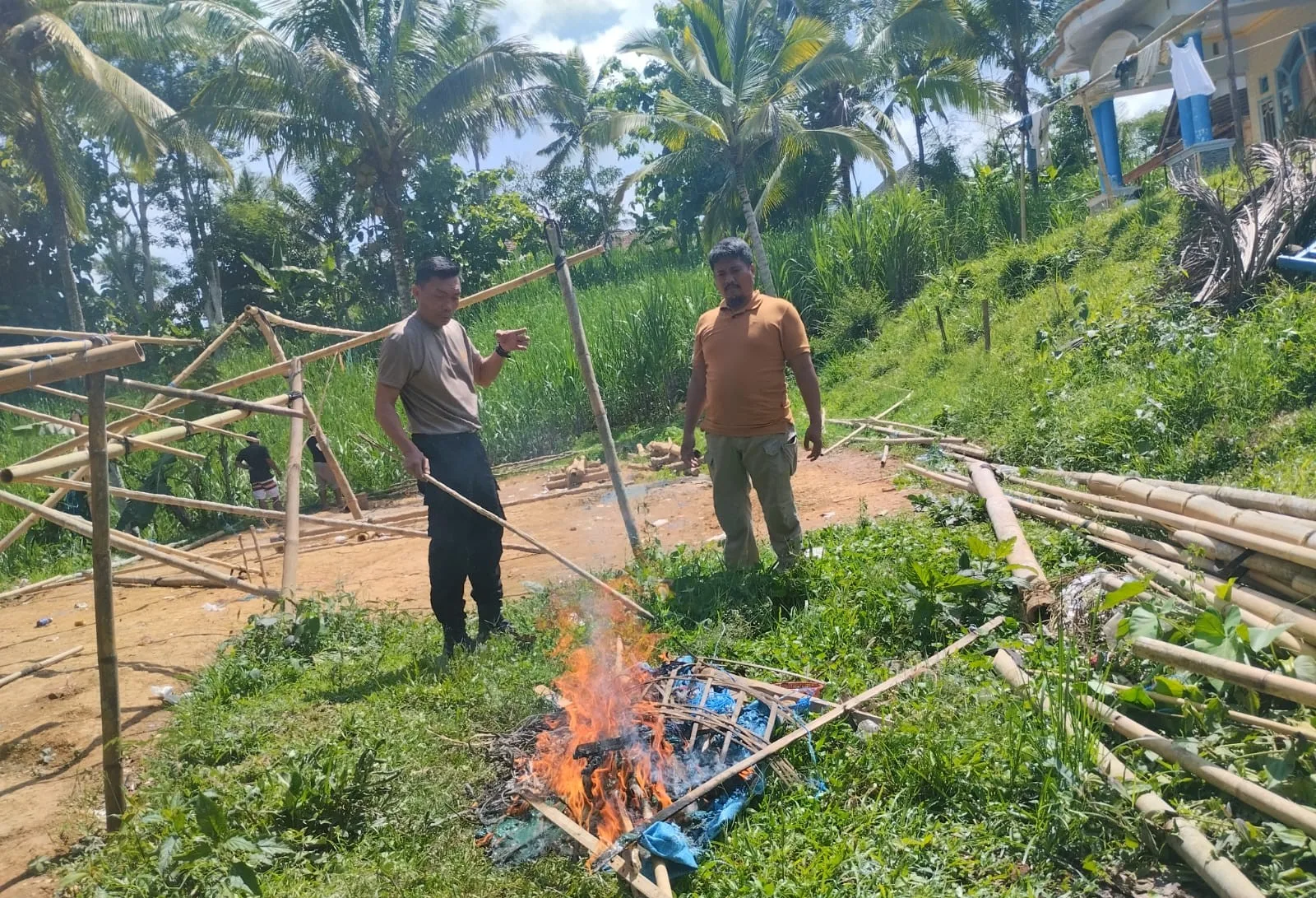 arena judi sabung ayam