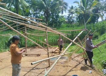 arena judi sabung ayam