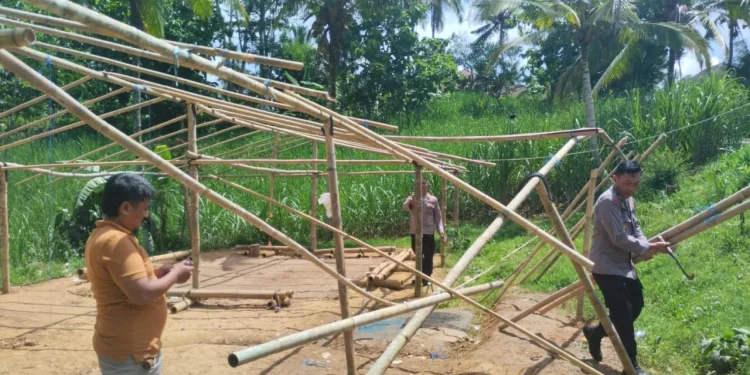 arena judi sabung ayam