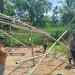 arena judi sabung ayam