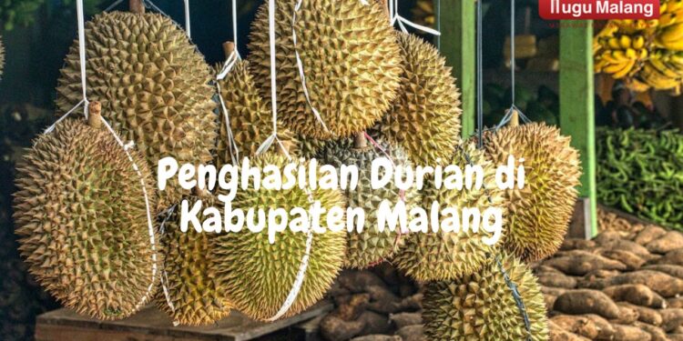 berburu buah durian
