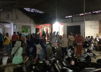 Surat suara