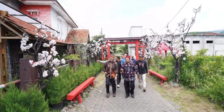 kampung sakura