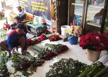Bunga Hias Kota Batu