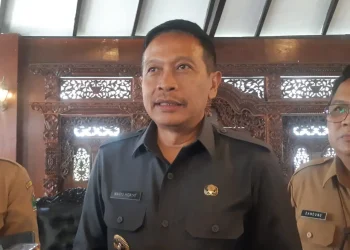 Pemecah Banjir