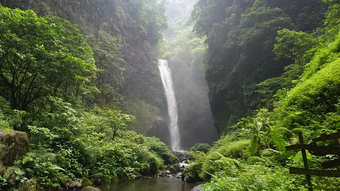 Coban Jodo