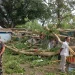 Pohon tumbang di Lawang menimpa pujasera di Lawang.