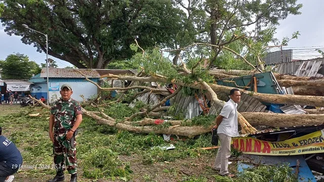 Pohon tumbang di Lawang menimpa pujasera di Lawang.