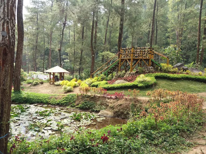 Taman Pinus Bendosari