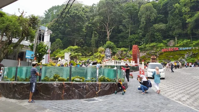 Taman Akoirium menjadi spot paling dikagumi oleh pengunjung di Taman Rekreasi Selecta, Kota Batu, Jawa Timur. Foto: Azmy