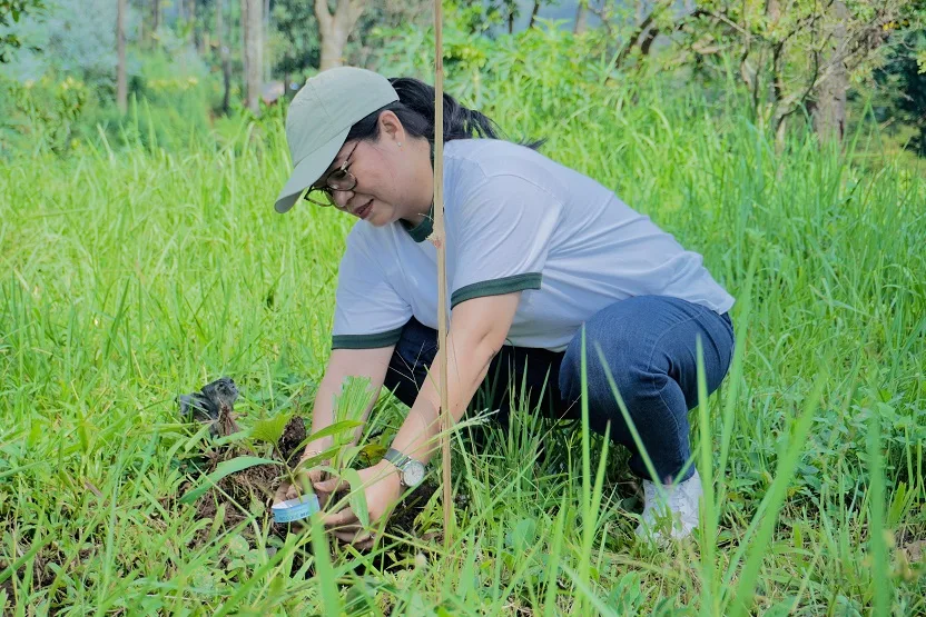 GM ibis Styles Malang Ina Rianawati sedang melakukan penanaman pohon Aren.