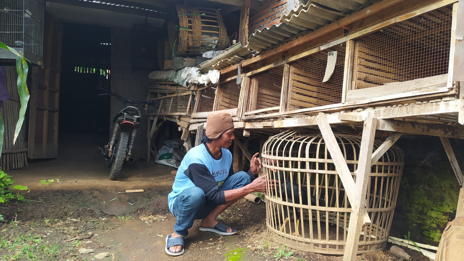 Penampakan bagian depan rumah Rudik terbuat dari papan triplek dan tiang bambu seadanya. Dia adalah pria sebatang kara yang hidup bersama ternaknya.