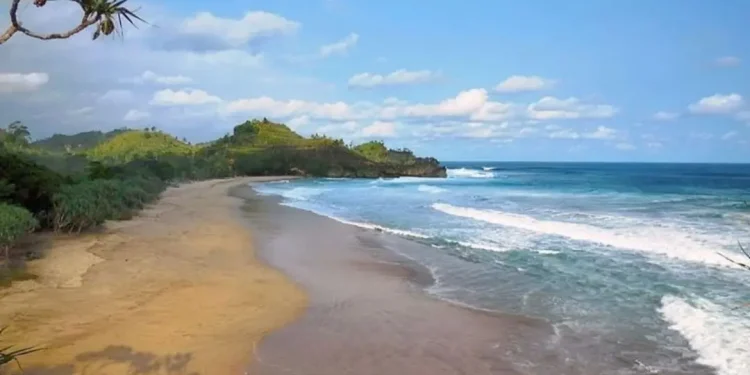 Informasi mengenai Pantai Ngantep sebagai salah satu referensi destinasi wisata pantai di Kabupaten Malang