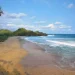 Informasi mengenai Pantai Ngantep sebagai salah satu referensi destinasi wisata pantai di Kabupaten Malang