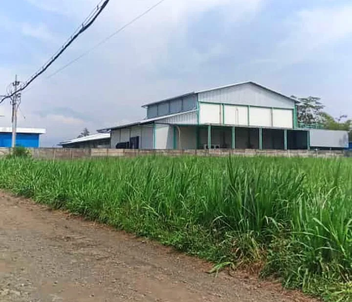 Salah satu gedung Prodi D4 Agribisnis Unggas Vokasi UMM.