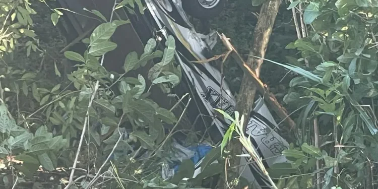 Kondisi mobil pick up masuk jurang yang masuk jurang. Foto: Polres Malang