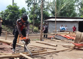 Petugas robohkan dan bakar arena judi sabung ayam di Kepanje