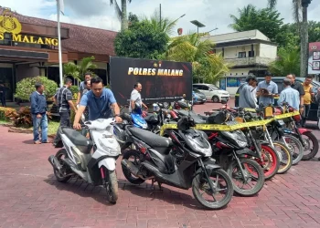 Motor curian
