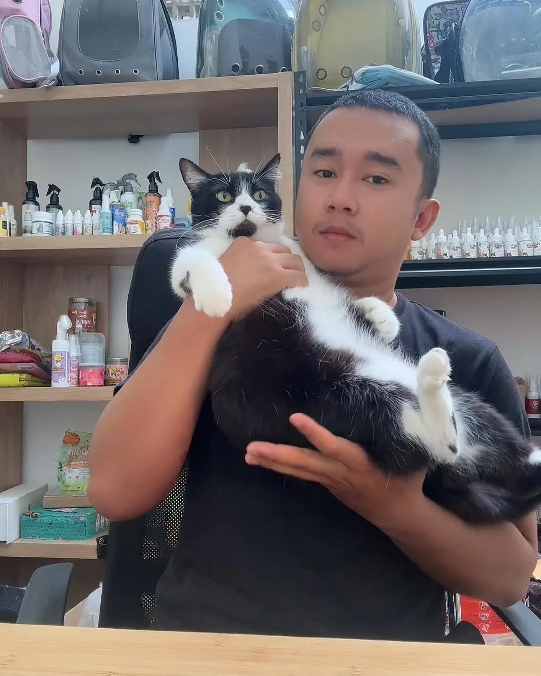 kucing