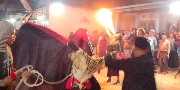 kesenian bantengan