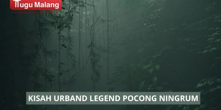urban legend