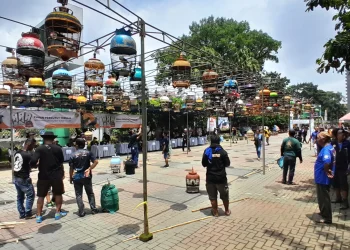 Kontest burung perkutut di Unisma
