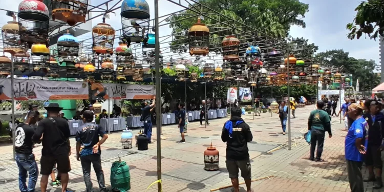 Kontest burung perkutut di Unisma