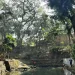 Kerajaan singasari