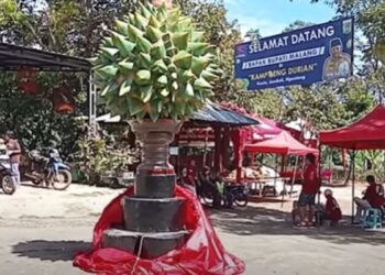 Informasi singkat mengenai Kampoeng Wisata Durian Ngantang Kabupaten Malang yang bisa dijadikan sebagai referensi destinasi liburan sembari berburu buah durian