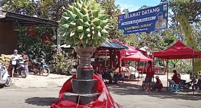 Informasi singkat mengenai Kampoeng Wisata Durian Ngantang Kabupaten Malang yang bisa dijadikan sebagai referensi destinasi liburan sembari berburu buah durian