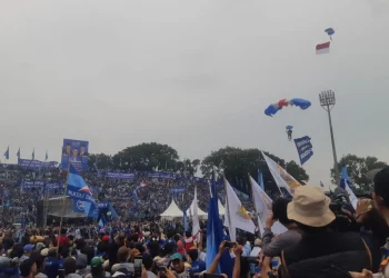 Aksi penerjun payung profesional mendarat di Stadion Gajayana Kota Malang. (