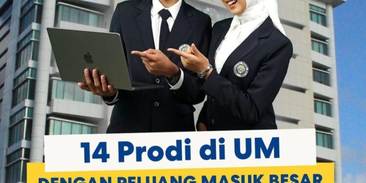 Informasi 14 Prodi di UM dengan peluang masuk besar melalui jalur SNBT 2024 /Foto: Instagram @universitasnegerimalang