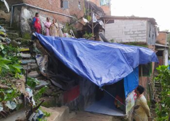 Penampakan rumah warga Muharto, Kota Malang, yang ringsek usai tertimpa pohon tumbang akibat dilanda angin kencang. Foto: Azmy