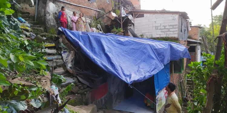 Penampakan rumah warga Muharto, Kota Malang, yang ringsek usai tertimpa pohon tumbang akibat dilanda angin kencang. Foto: Azmy