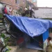Penampakan rumah warga Muharto, Kota Malang, yang ringsek usai tertimpa pohon tumbang akibat dilanda angin kencang. Foto: Azmy