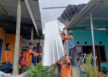 Selain pohon, hujan angin juga membuat atap seng bangunan di TPS Pasar Induk Kota Batu terbang dan menimpa 3 rumah warga di Kelurahan Temas. Foto: BPBD Kota Batu