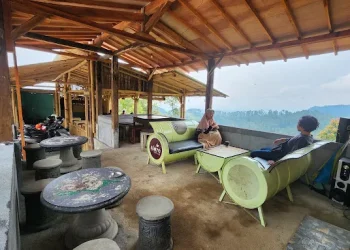 Sensasi Kopi Taji yang menawarkan keindahan panorama alam lereng Gunung Bromo ke pengunjung dan perlu masuk dalam list tempat ngopi sekaligus healing tipis-tipis /Foto: Google Review Kopi Taji/ Ahmad Musyadad A