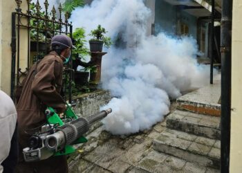 Pelaksanaan fogging di Kota Batu, Jawa Timur untuk menurunkan kasus demam berdarah. Foto: Dinkes Kota Batu