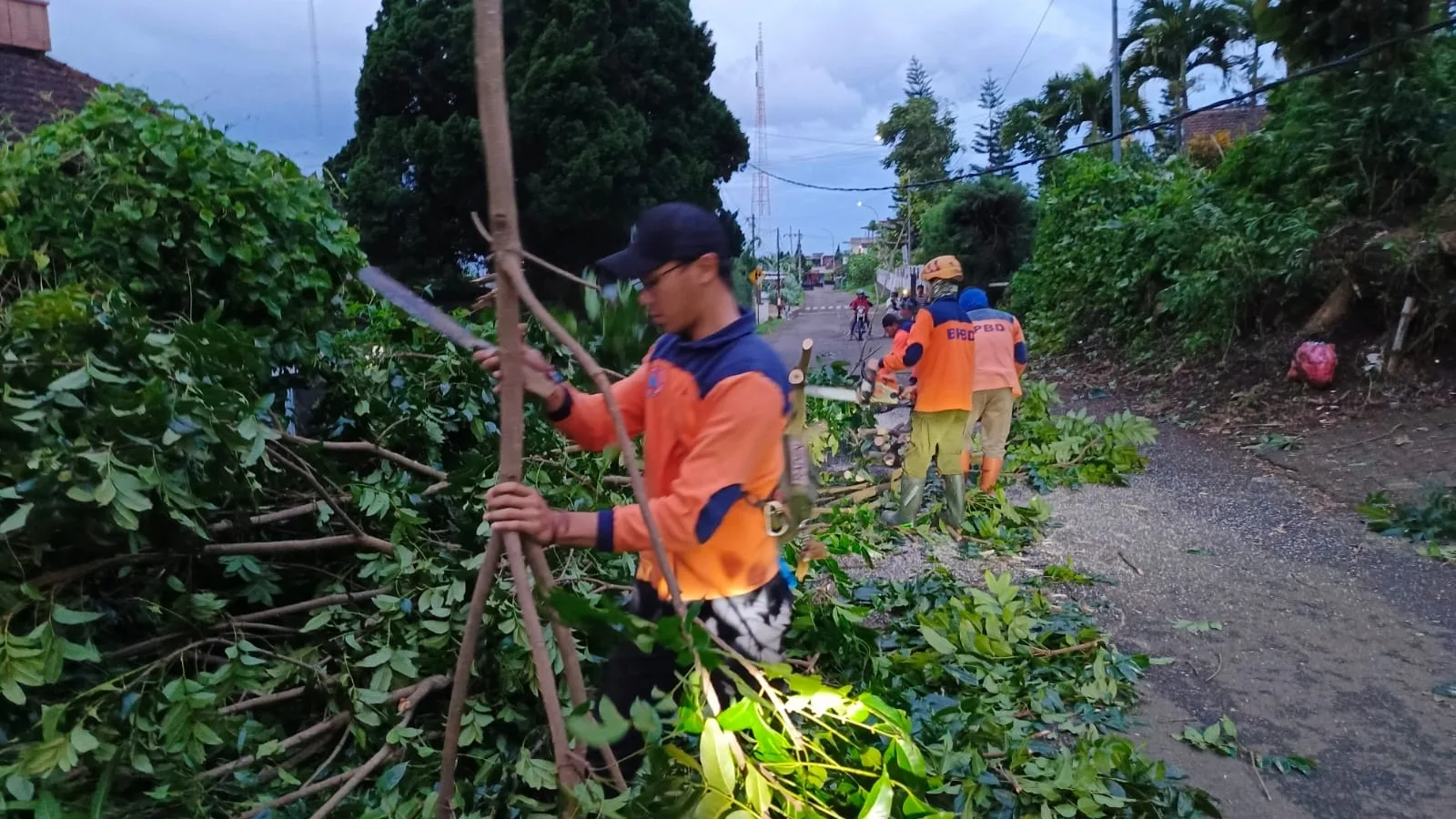 Hujan angin kencang melanda Kota Batu di Desa Oro-Oro Ombo, Kota Batu, Selasa (12/3/2024). Dalam sehari, sudah ada kejadian pohon tumbang di 6 titik. Foto: BPBD Kota Batu