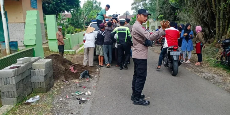 kecelakaan adu banteng