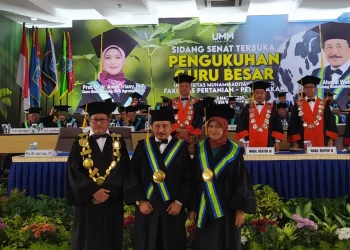 UMM Malang