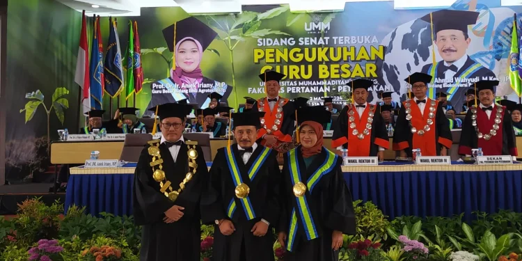 UMM Malang