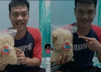 kiper timnas indonesia