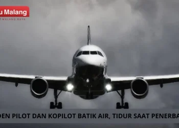 Pilot pesawat batik air