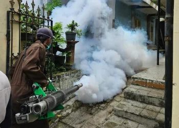 demam berdarah