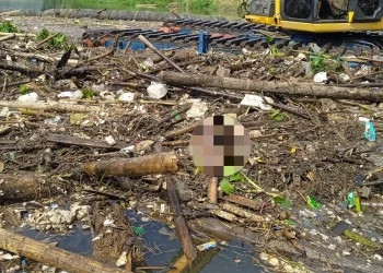 mayat bayi perempuan