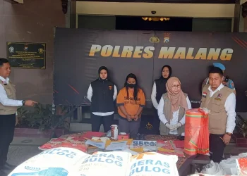beras bulog