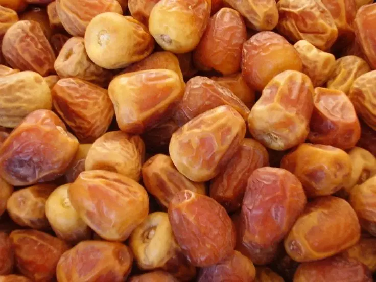 kurma