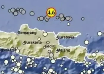 Gempa Tuban